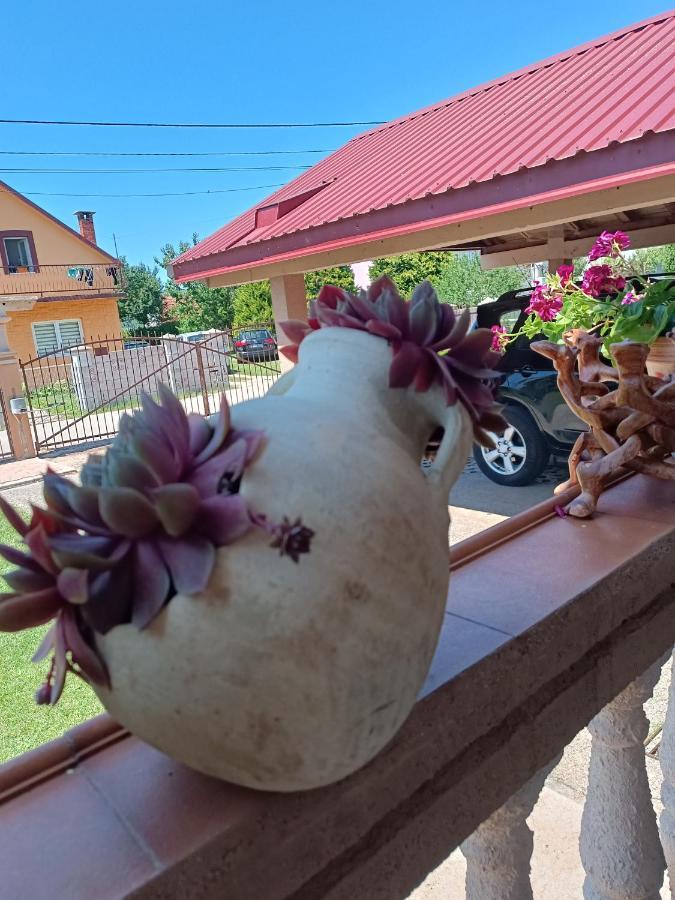 Calm Nest Apartamento Nikšić Exterior foto