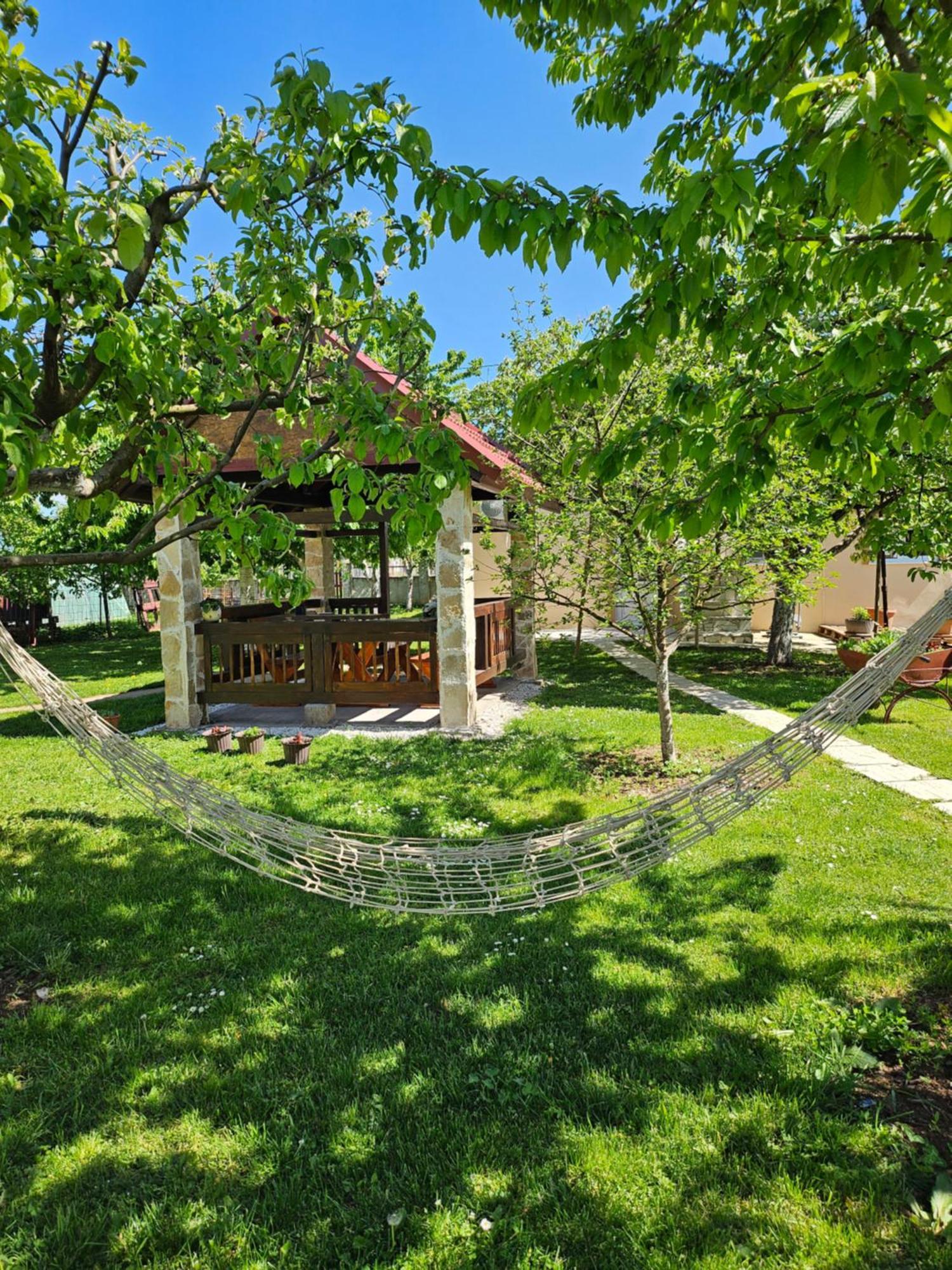 Calm Nest Apartamento Nikšić Exterior foto